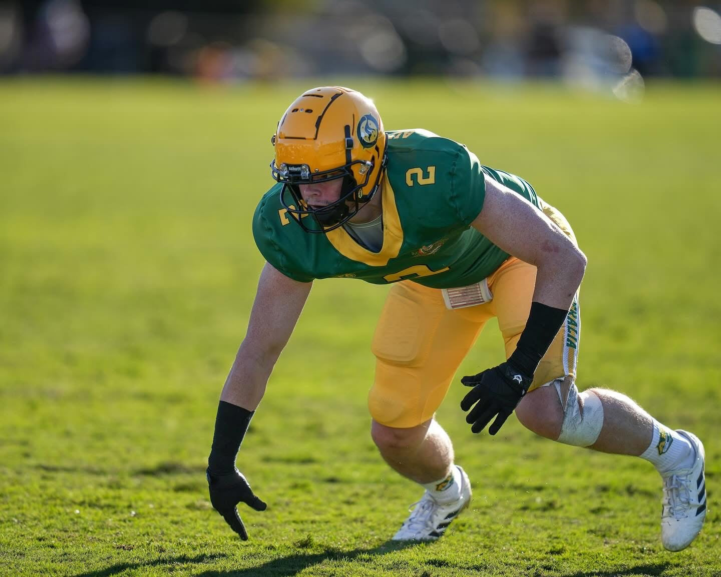 Padded Football Gloves