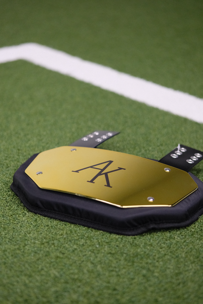 AK Gold Skill Back Plate