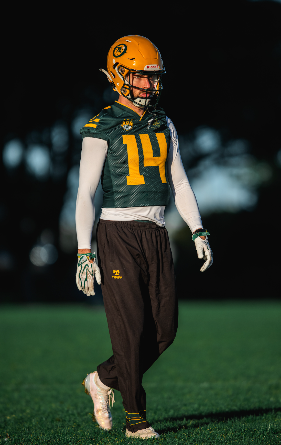 Riddell SpeedFlex Helmet Skin