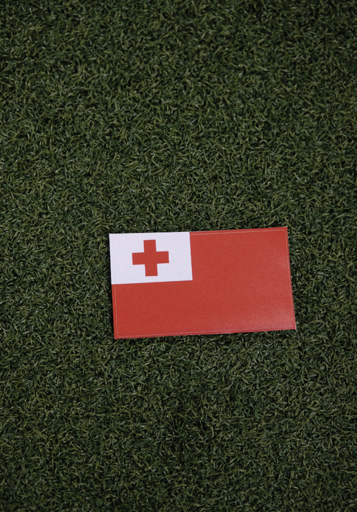 Flag Stickers (Backplate)